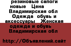 резиновые сапоги новые › Цена ­ 700 - Владимирская обл. Одежда, обувь и аксессуары » Женская одежда и обувь   . Владимирская обл.